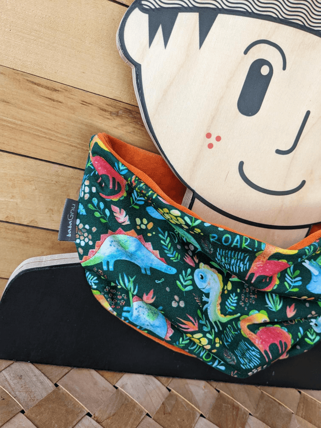Dinosaur Friends - Velour Lined 